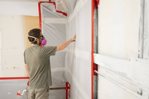 Biohazard Mold Removal in Indian Hills, TX