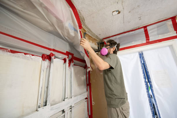 Best Environmental Consulting for Mold Prevention  in Indian Hills, TX