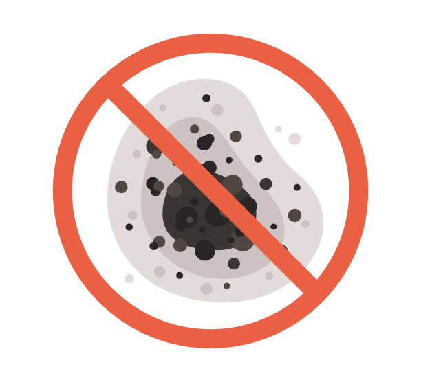 Best Black Mold Removal  in Indian Hills, TX