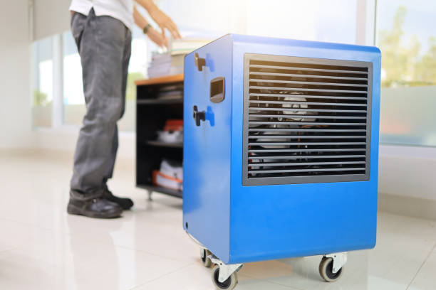 Best Mold-Related Health Consultation  in Indian Hills, TX